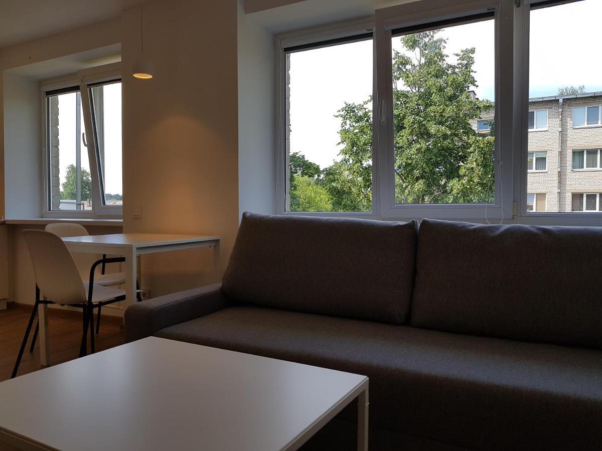 Anyksciai Cozy Studio Esterno foto